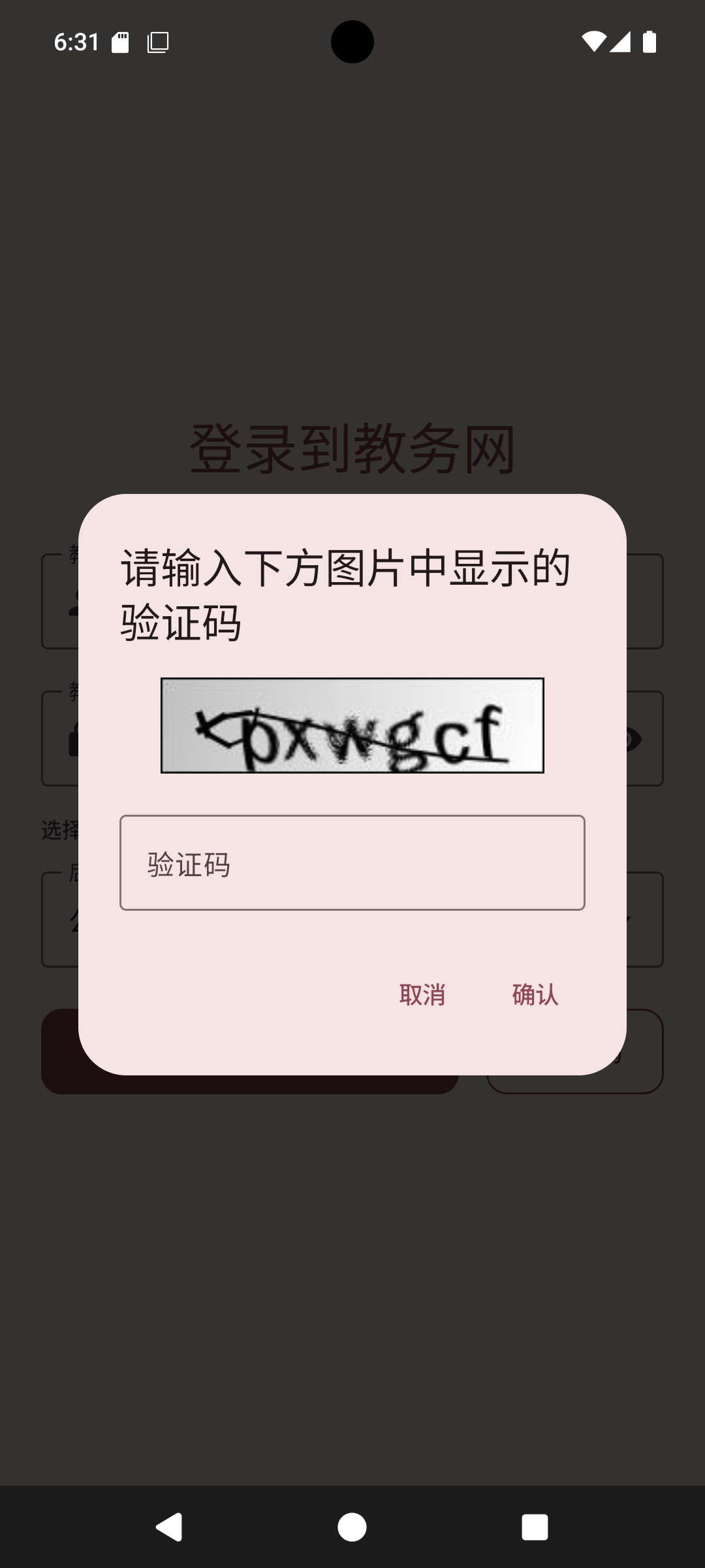 验证码输入窗口